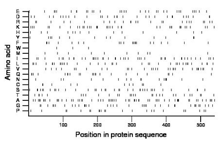 amino acid map