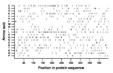 amino acid map