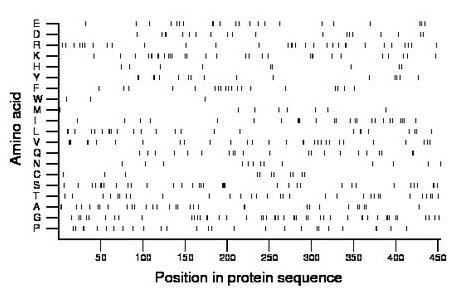 amino acid map