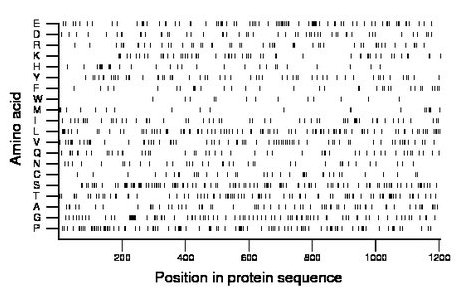 amino acid map