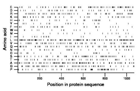 amino acid map