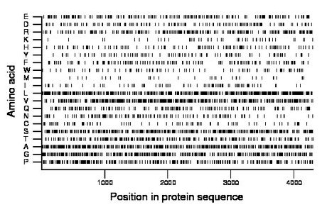 amino acid map