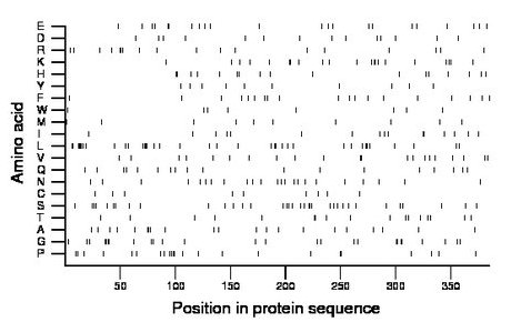 amino acid map