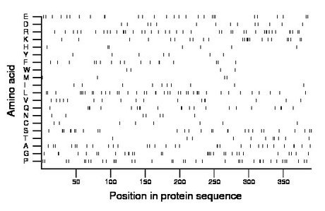 amino acid map