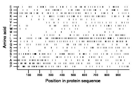 amino acid map