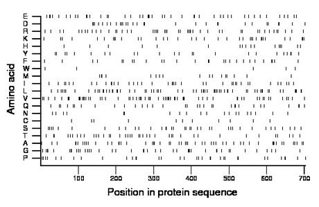 amino acid map