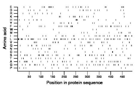 amino acid map