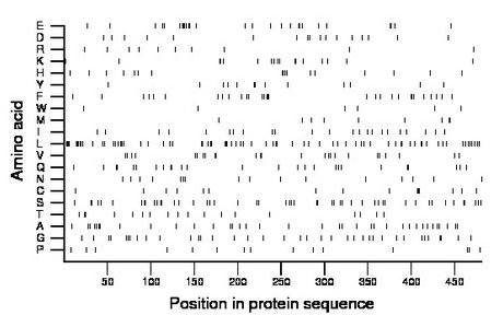 amino acid map