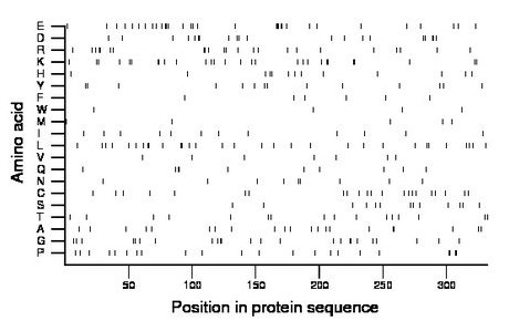 amino acid map