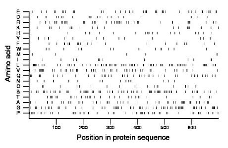 amino acid map