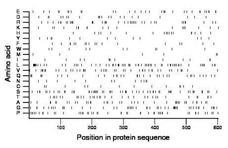 amino acid map