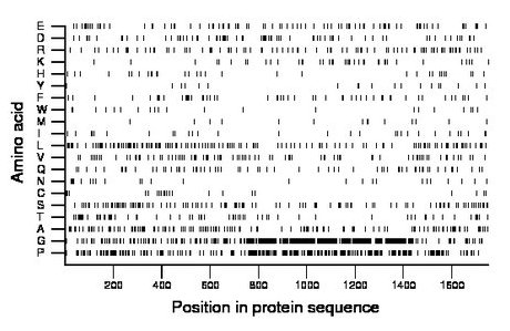 amino acid map