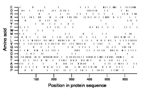 amino acid map