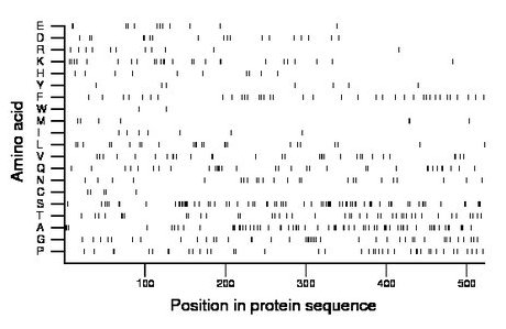 amino acid map