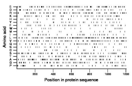 amino acid map