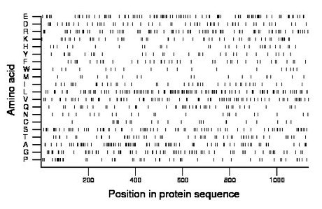 amino acid map