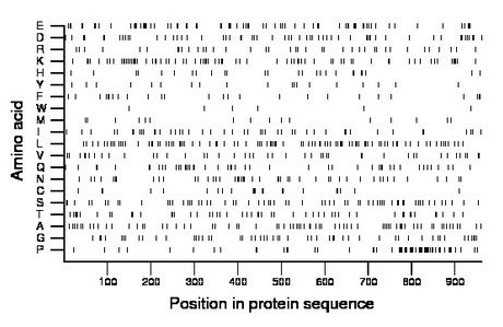 amino acid map