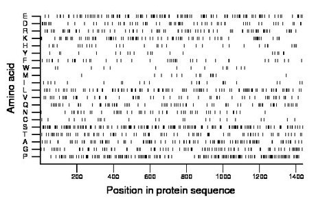 amino acid map