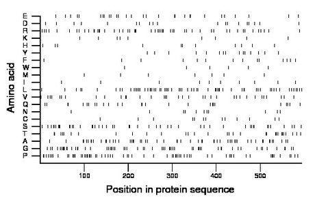 amino acid map