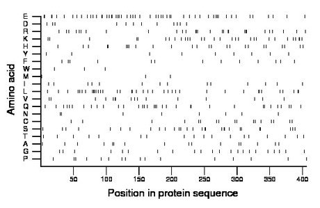 amino acid map