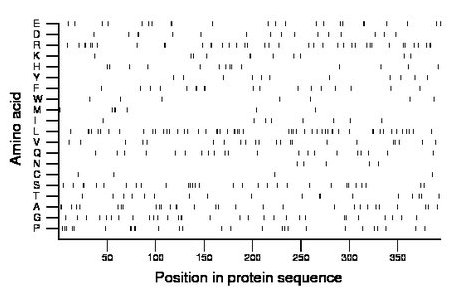 amino acid map