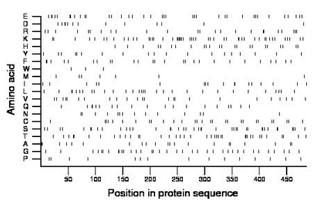 amino acid map