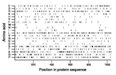 amino acid map