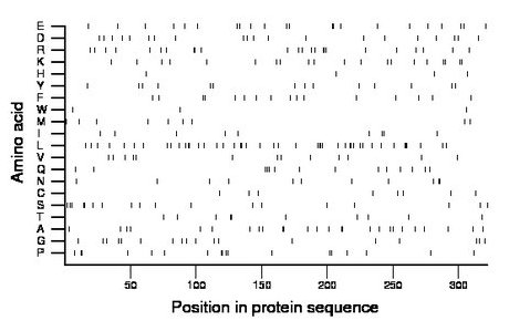 amino acid map