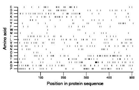 amino acid map