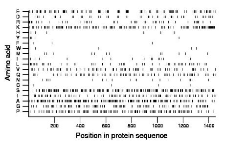 amino acid map