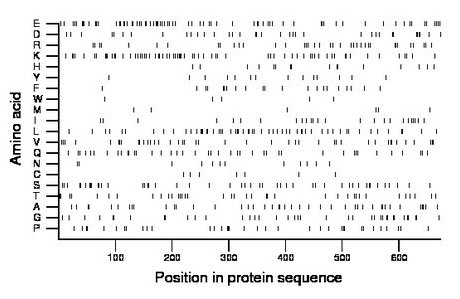 amino acid map