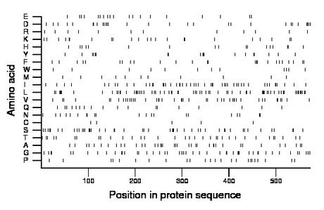 amino acid map