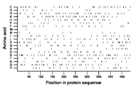 amino acid map