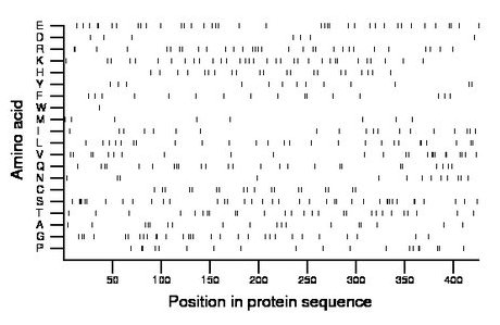 amino acid map