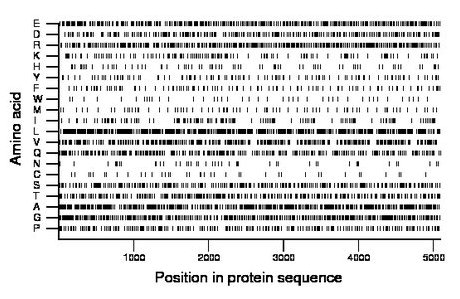 amino acid map