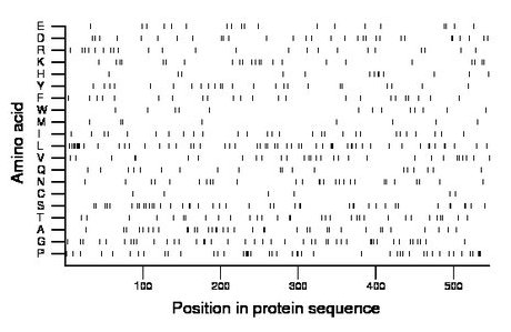 amino acid map