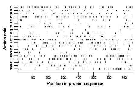 amino acid map