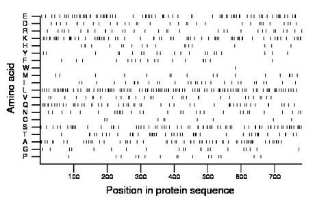 amino acid map