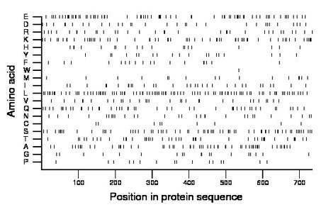 amino acid map