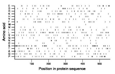 amino acid map