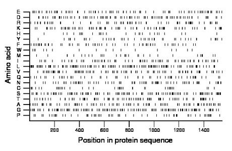 amino acid map