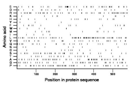 amino acid map