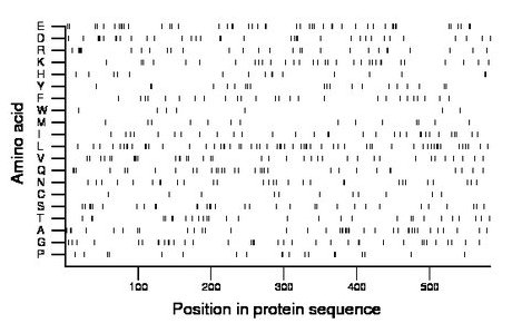 amino acid map