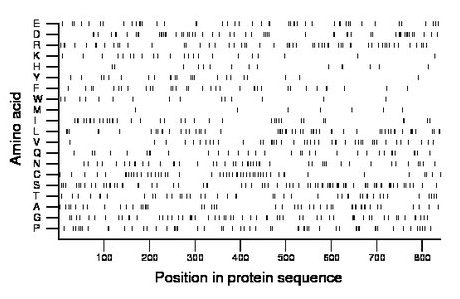 amino acid map