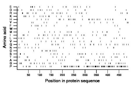 amino acid map