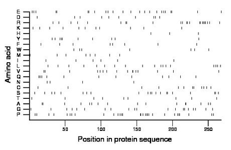 amino acid map