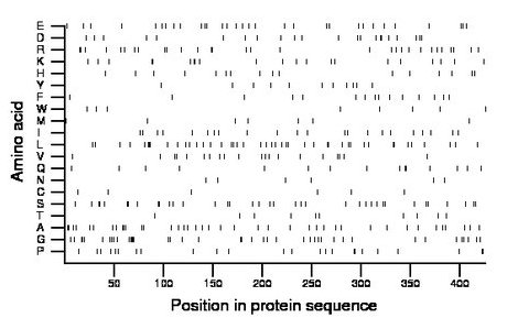 amino acid map