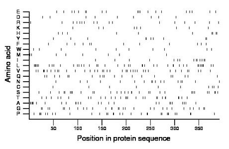 amino acid map