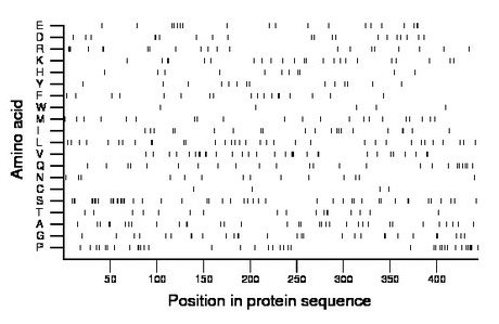 amino acid map