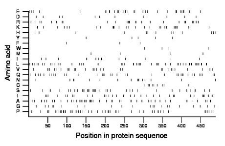 amino acid map